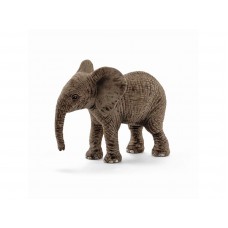 Afrikkalainen norsu - vasikka