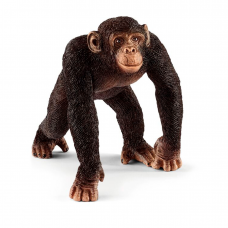 Simpanssi - Han