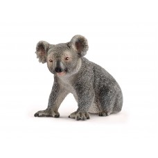 Koala karhu