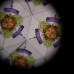 Kaleidoskooppi - syksyn kukat