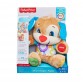 Fisher Price Laugh & Learn Smart Stages -pentu